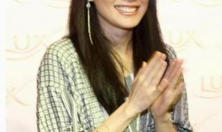 甄子丹赵文卓谁厉害 甄子丹赵文卓谁厉害